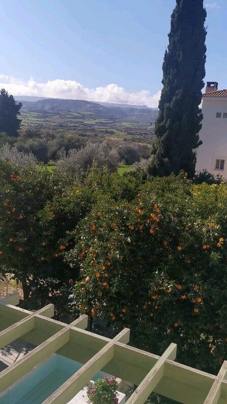 Instagram post from artbykatefessa. This post is in position 24.